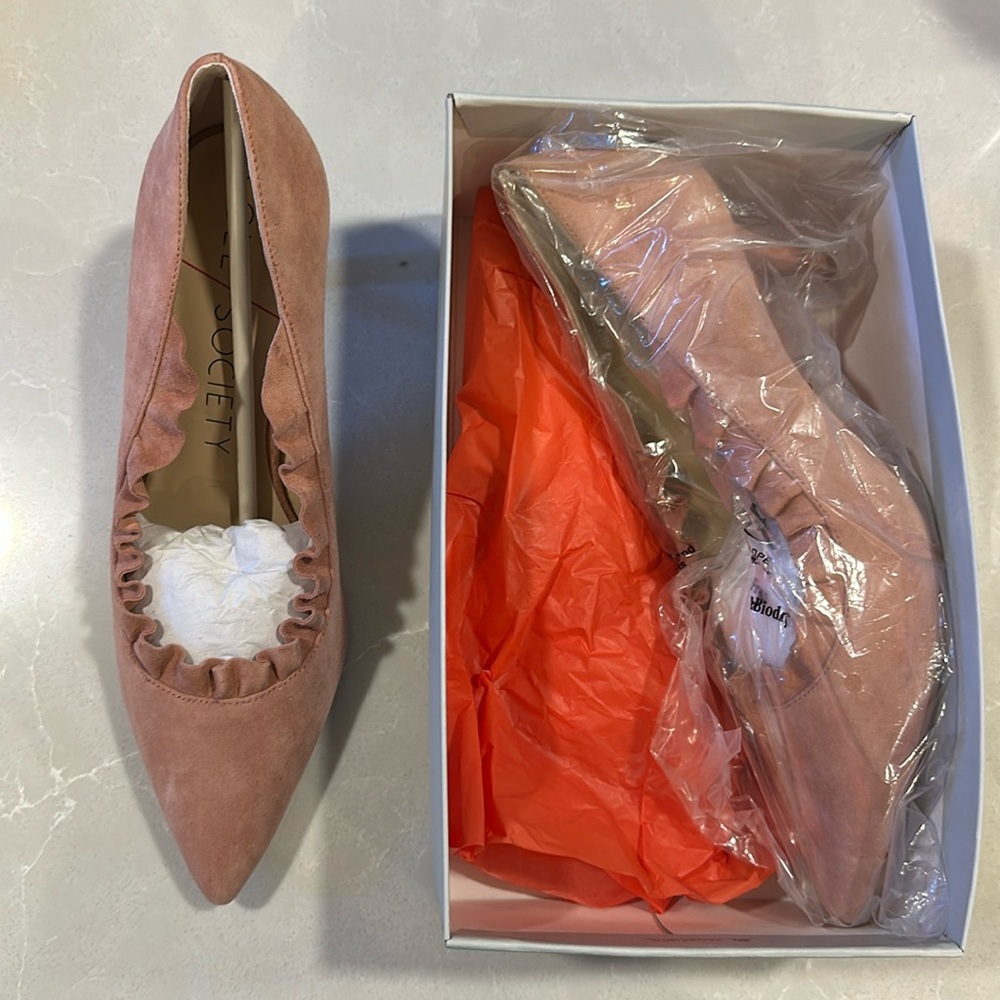 Sole Society Danla Suede Rose Pump
Size 10